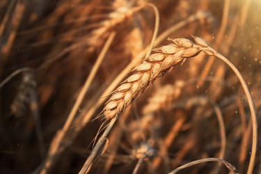 Similar image 21335048