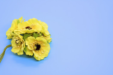 Similar image 21325737