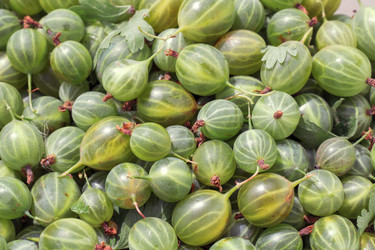 Similar image 21325741