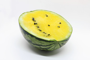 Similar image 21325746