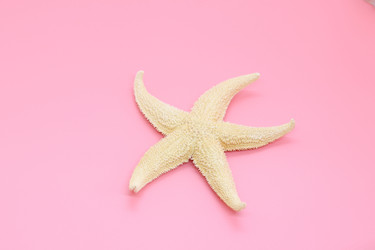 Similar image 21325750