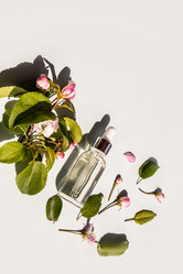 Similar image 21321614