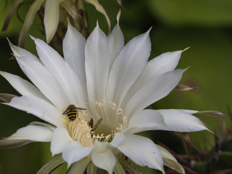 Similar image 21322531