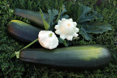 Similar image 21322533