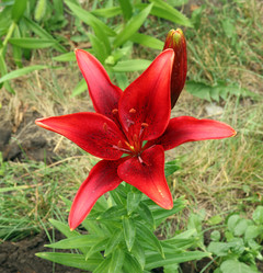 Similar image 21322535