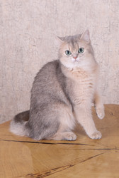 Similar image 21322251