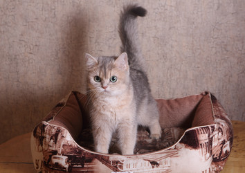 Similar image 21322253