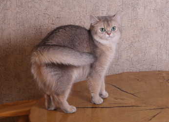 Similar image 21322255