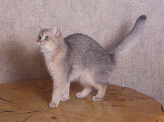 Similar image 21322257