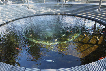 Similar image 21322263