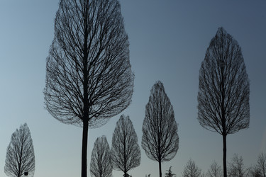 Similar image 21326233