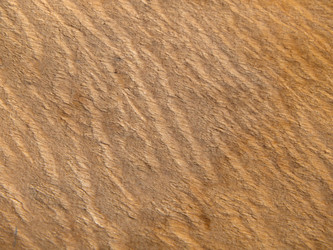 Similar image 21322537