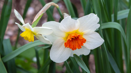 Similar image 21322538