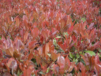 Similar image 21322540