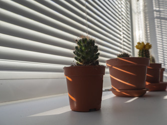 Similar image 21322547