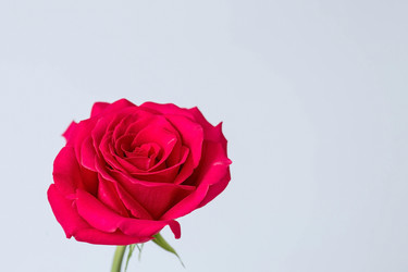 Similar image 21329755