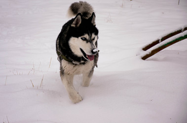 Similar image 21322797