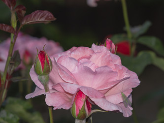 Similar image 21322557