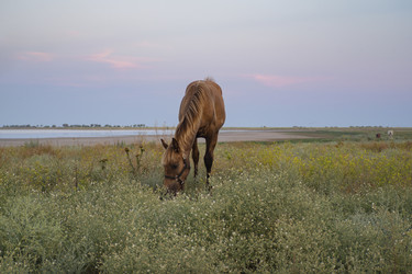 Similar image 21322559