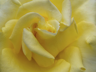 Similar image 21322560