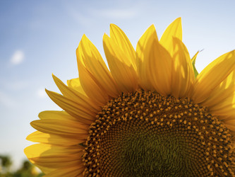 Similar image 21322561