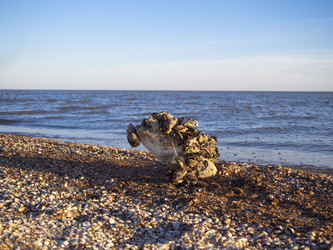 Similar image 21322563