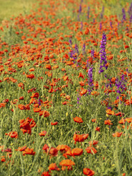 Similar image 21322570