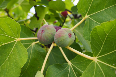 Similar image 21343164