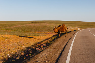 Similar image 21322581