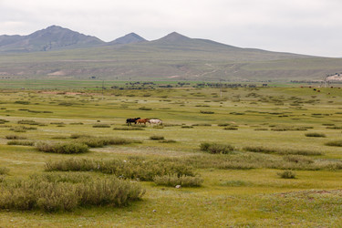 Similar image 21322584