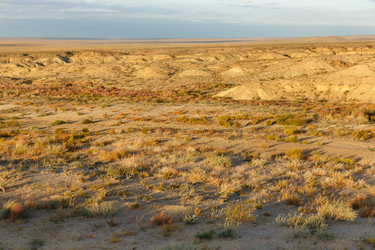 Similar image 21322595