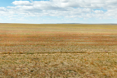 Similar image 21322669