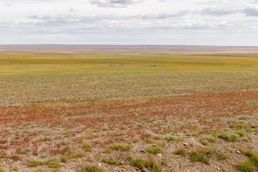 Similar image 21322674