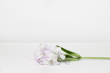 Similar image 21325680