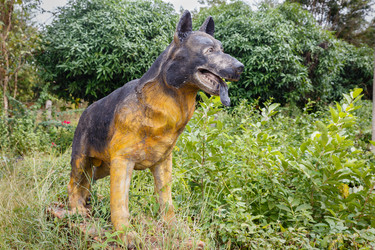 Similar image 21322642