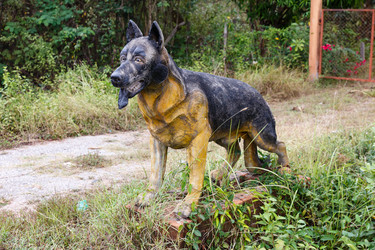 Similar image 21322643