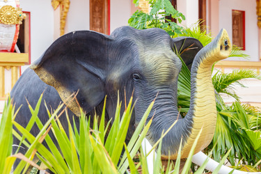 Similar image 21322644