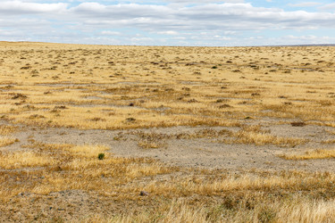 Similar image 21322657