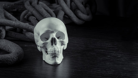 Similar image 21322840