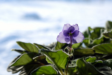 Similar image 21323316