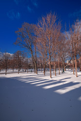 Similar image 21322815