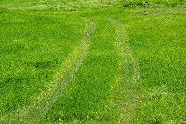 Similar image 21322818