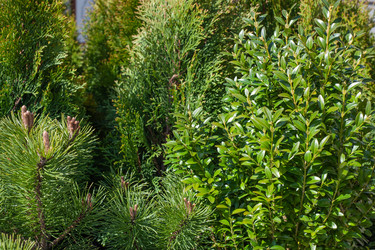 Similar image 21326459