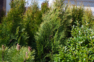 Similar image 21326460