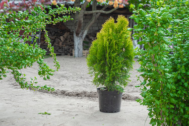 Similar image 21326461