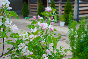 Similar image 21326462