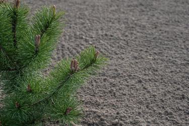 Similar image 21326463