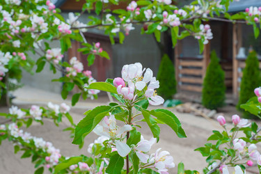 Similar image 21326464