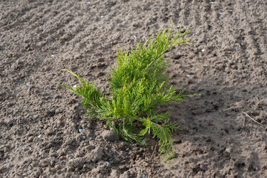 Similar image 21326465