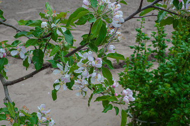 Similar image 21326466